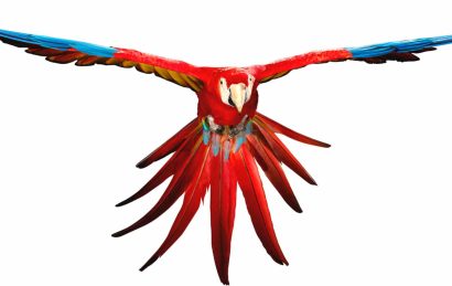 01. Glasurit_ARACLASS