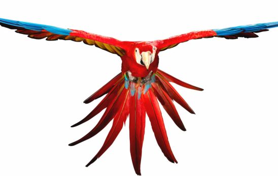 01. Glasurit_ARACLASS