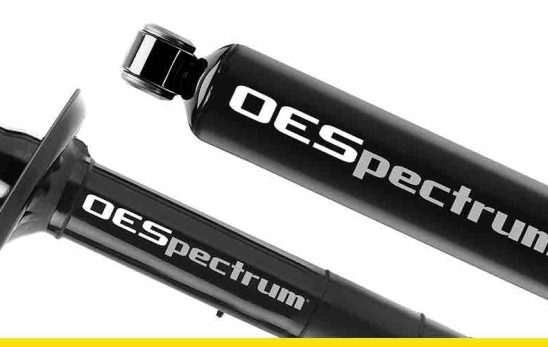 Amortisseurs-OESpectrum-Monroe