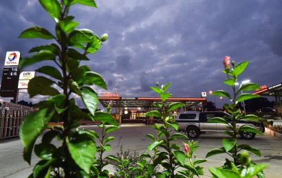 Ecologie les choix énergétiques