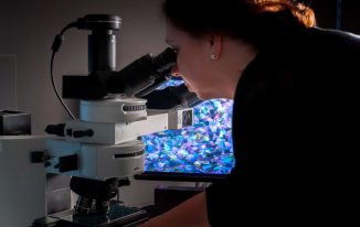 SX Standox Blue is the Colour - pigment