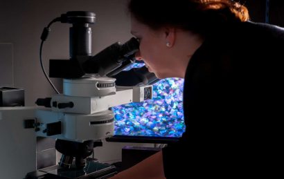 SX Standox Blue is the Colour - pigment